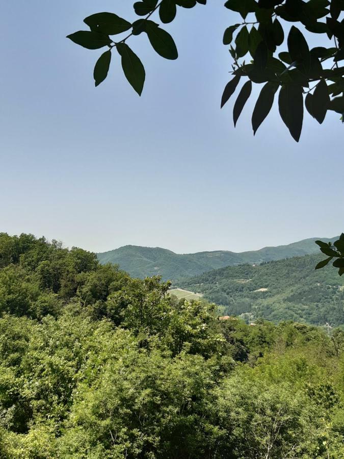 Country Residence Turicchi Londa Εξωτερικό φωτογραφία